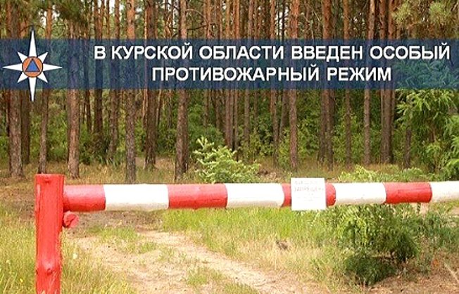 В Курской области введен особый противопожарный режим