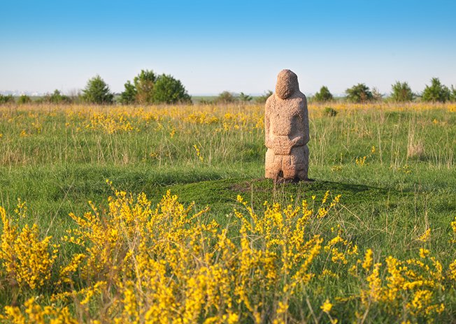 Около тысячи человек побывали в курском заповеднике имени В.В. Алехина в прошлом году