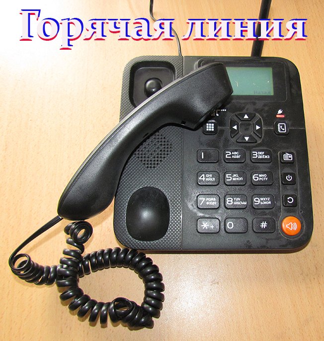 Горячая линия