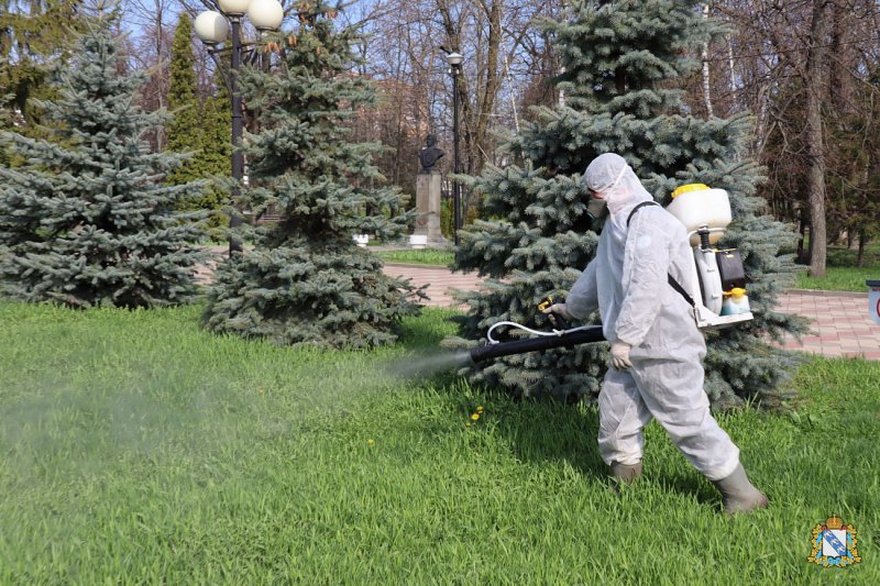 В апреле в курских природных парках регионального значения проведут обработку от клещей