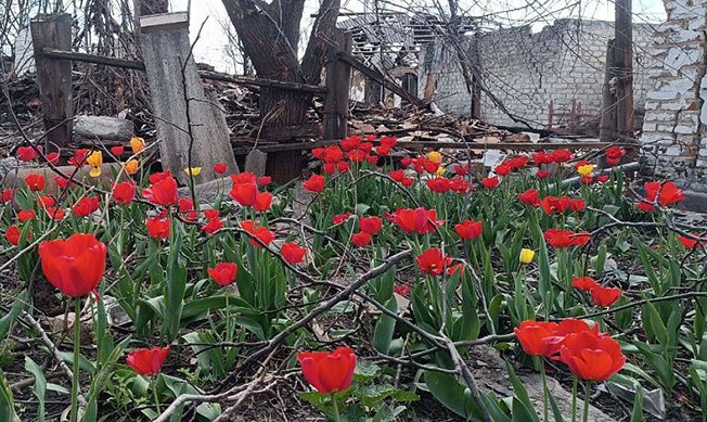Куряне стали победителями Всероссийского конкурса творческих работ «Памяти героев верны!»