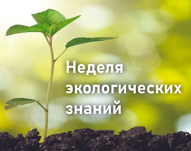 В Курской области стартовала Неделя экологических знаний